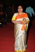 Celebs at Gemini TV Awards Photos